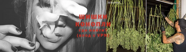 ГАЛЛЮЦИНОГЕННЫЕ ГРИБЫ Аркадак