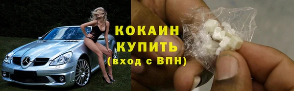 амф Арсеньев