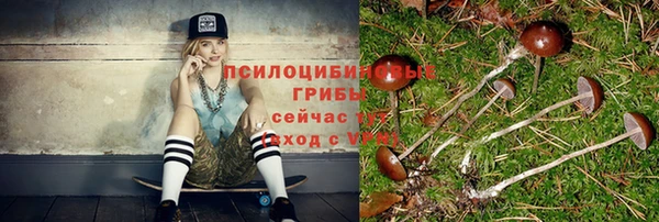 ГАЛЛЮЦИНОГЕННЫЕ ГРИБЫ Аркадак