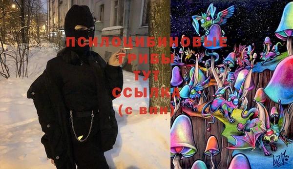 амф Арсеньев